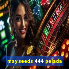 mayseeds 444 pelada